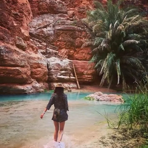 Meet your Posher, Stella - Picture 7 of 8